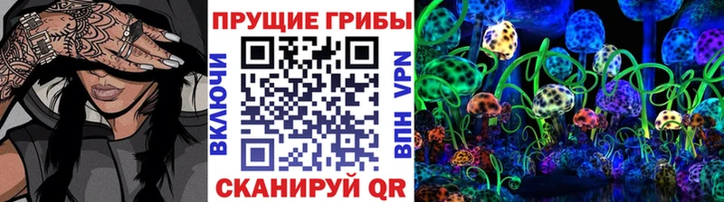 купить наркотики сайты  Калининск  Псилоцибиновые грибы мухоморы 